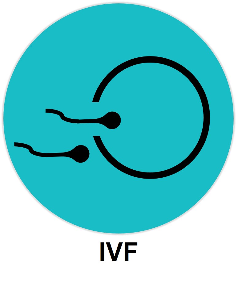 IVF
